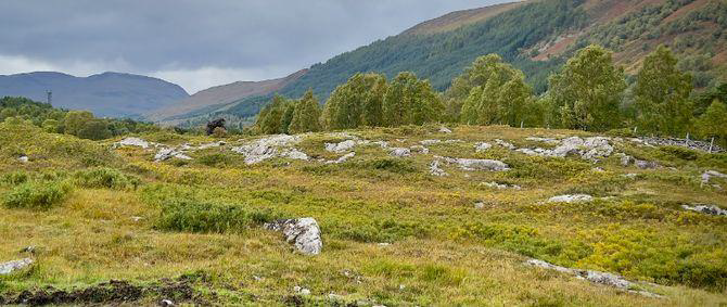 Glen Lyon, with mast: what the future holds?