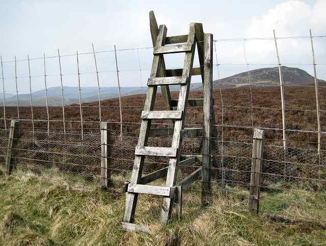 Access stile on deer fence, by Lis Burke